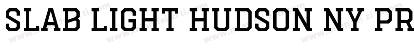 Slab Light Hudson NY Pro字体转换
